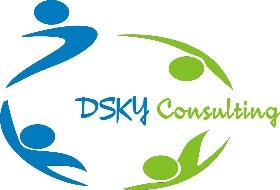 logo de notre partenaire dsky consulting